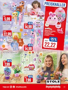 Blumen im aktuellen Kaufhaus Stolz Prospekt (Bremerhaven) Blumen im Kaufhaus Stolz Prospekt "STOLZ. Das Kaufhaus im Norden." mit 16 Seiten (Bremerhaven)