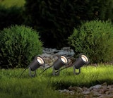 Außenstrahler Erdspieß im aktuellen Segmüller Prospekt für 49,99 €