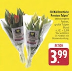 Premium Tulpen Angebote von EDEKA Herzstücke bei E center Erlangen für 3,99 €