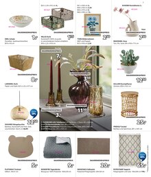 Blumen im JYSK Prospekt "Wir feiern Geburtstag! SPARE BIS ZU 60%" mit 13 Seiten (Oberhausen)