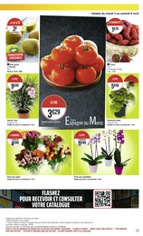 Offre Orchidée dans le catalogue Casino Supermarchés du moment à la page 13