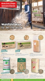Pellets im Raiffeisenmarkt Prospekt in Bremen Aktueller Raiffeisenmarkt Prospekt mit Pellets, "Die kalte Jahreszeit steht vor der Tür", Seite 10