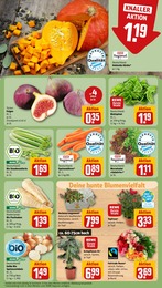 Pflanzen Angebot & Preis im aktuellen REWE Prospekt Pflanzen Angebot im aktuellen REWE Prospekt auf Seite 11