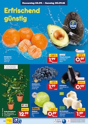 Ähnliche Rosenbogen Angebote im Prospekt "Aktuelle Angebote" von Netto Marken-Discount in Heilbronn Ähnliche Angebote wie Rosenbogen im Prospekt "Aktuelle Angebote" auf Seite 46 von Netto Marken-Discount in Heilbronn