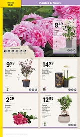 Plantes Angebote im Prospekt "Si bon, si bio" von Lidl auf Seite 2
