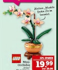 Marktkauf Schweinfurt - Mini-Orchidee Angebot im Prospekt Mini-Orchidee bei Marktkauf im Schweinfurt Prospekt für 19,99 €
