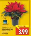 Weihnachtsstern im Angebot bei E center in Falkensee Weihnachtsstern Angebote von EDEKA Heimatliebe bei E center Falkensee für 3,99 €