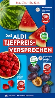 ALDI SÜD Prospekt der aktuellen Woche, gültig von 17.08.2026 bis 22.08.2026 Aktueller ALDI SÜD Prospekt "Gutes für Alle." mit 32 Seiten