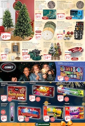 Weihnachtsbaumständer im GLOBUS Prospekt in Oberhausen Aktueller GLOBUS Prospekt mit Weihnachtsbaumständer, "Aktuelle Angebote", Seite 25