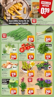 Stiefmütterchen im REWE Prospekt "Dein Markt" mit 24 Seiten (Frankfurt (Main))