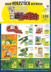 Aktueller diska Prospekt mit Bio, "alles an deinem ort.", Seite 4