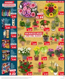 Jugendfeuerwerk im Kaufland Prospekt "Aktuelle Angebote" mit 34 Seiten (Dortmund)