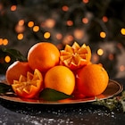 Carrefour Market - Orange feuille : offre du catalogue Promo Orange feuille à 1,99 € dans le catalogue Carrefour Market ""