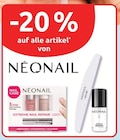 -20 % Rabatt von NÉONAIL im aktuellen budni Prospekt