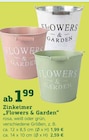 Zinkeimer „Flowers & Garden“ im aktuellen Pflanzen Kölle Prospekt für 1,99 €