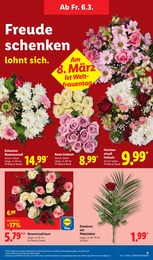 Blumen Angebot & Preis im aktuellen Lidl Prospekt Blumen Angebot im aktuellen Lidl Prospekt auf Seite 15