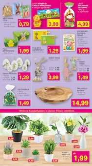 Zimmerpflanzen im KODi Prospekt "DER HAUSHALTSDISCOUNTER" mit 12 Seiten (Mannheim)
