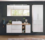 Aktuelle Bad-Spiegelschrank Angebote bei Zurbrüggen in Bielefeld Aktuelles Spiegelschrank Angebot bei Zurbrüggen in Bielefeld ab 99,00 €