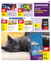Purina One Angebote im Prospekt "les Jours Meilleurs avec Les Produits Carrefour" von Carrefour Market auf Seite 53