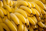 Norma Riedisheim - Promo Bananes Promo Bananes à 1,19 € dans le catalogue Norma à Riedisheim