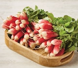 Promo Radis Rose à 0,85 € dans le catalogue U Express à Vigneux-de-Bretagne