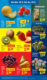 Blumenerde im Lidl Prospekt in Rüsselsheim Aktueller Lidl Prospekt mit Blumenerde, "LIDL LOHNT SICH", Seite 5