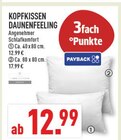 Angebot im Marktkauf Sundern (Sauerland) Prospekt Marktkauf Sundern (Sauerland) Prospekt mit im Angebot für 12,99 €