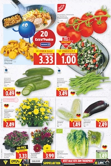 Salat im E center Prospekt "Aktuelle Angebote" mit 26 Seiten (Berlin)