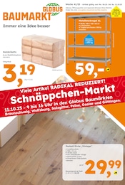 Globus-Baumarkt Prospekt "Immer eine Idee besser" mit 8 Seiten (Salzgitter)