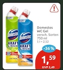 WC Gel bei budni im Prospekt  für 1,59 €