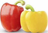 Mixpaprika im Angebot bei Marktkauf in Heilbronn Mixpaprika Angebote von EDEKA bei Marktkauf Heilbronn für 2,49 €