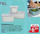 Frischhaltedose EasyClip 2250 ml im Angebot bei famila Nordost in Neustadt Frischhaltedose EasyClip 2250 ml Angebote bei famila Nordost Neustadt für 6,99 €