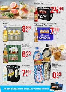 Bier im Trinkgut Prospekt "Aktuelle Angebote" mit 8 Seiten (Weinheim)