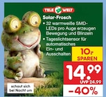 Aktuelles Solar-Frosch Angebot bei Netto Marken-Discount in Siegen (Universitätsstadt) ab 14,99 €