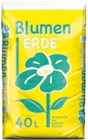 Aktuelles Blumenerde Angebot bei Thomas Philipps in Rostock ab 2,39 €