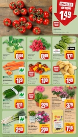 Bio im REWE Prospekt in Hanau Aktueller REWE Prospekt mit Bio, "Dein Markt", Seite 7