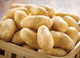 Pomme de terre de consommation - Intermarché Super à Montélimar Pomme de terre de consommation en promo chez Intermarché Super Montélimar à 2,99 €