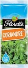 Coriandre - FLORETTE dans le catalogue Intermarché