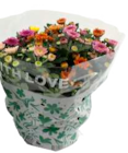Aktuelle Chrysantheme Angebote bei Marktkauf in Hamburg Aktuelles Chrysanthemen Angebot bei Marktkauf in Hamburg ab 5,99 €
