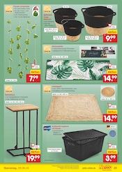Teppichboden im Netto Marken-Discount Prospekt in Velbert Aktueller Netto Marken-Discount Prospekt mit Teppichboden, "Aktuelle Angebote", Seite 33