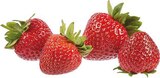 Deutschland Erdbeeren bei EDEKA im Lünen Prospekt für 3,99 €