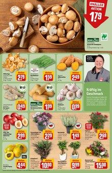 Pflanzen im REWE Prospekt "Dein Markt" mit 30 Seiten (Mönchengladbach)