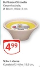 Aktuelle Kerzen Angebote bei GLOBUS in Salzgitter Aktuelles Duftkerze Citronella Angebot bei GLOBUS in Salzgitter ab 4,99 €