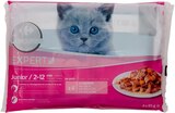 Pâtée pour chat - CARREFOUR COMPANINO EXPERT - Carrefour Pâtée pour chat - CARREFOUR COMPANINO EXPERT à 2,29 € dans le catalogue Carrefour
