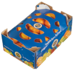 Clementinen im tegut Prospekt Clementinen von Götterfrucht im aktuellen tegut Prospekt für