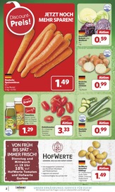 Tomaten im combi Prospekt in Celle Aktueller combi Prospekt mit Tomaten, "Markt - Angebote", Seite 2