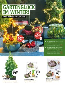 Pflanzen im aktuellen ROSENGUT Langerwisch Prospekt (Potsdam) Pflanzen im ROSENGUT Langerwisch Prospekt "MAGISCHER ADVENT!" mit 12 Seiten (Potsdam)