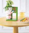 Kalanchoe Figurine Professeur - Super U à Grenoble Kalanchoe Figurine Professeur en promo chez Super U Grenoble à 6,99 €