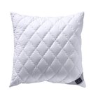 Aktuelles KOPFKISSEN 80/80 cm Alcando Angebot bei XXXLutz in Berlin ab 49,95 €