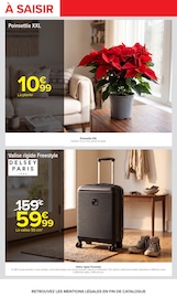 Promos Fleurs dans le catalogue "Carrefour" de Carrefour Fleurs en promo dans le catalogue Carrefour à la page 74